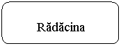 Rounded Rectangle: Radacina

