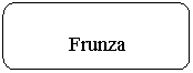 Rounded Rectangle: Frunza
