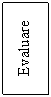 Text Box: Evaluare
