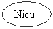 Oval: Nicu