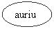 Oval: auriu