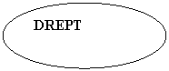 Oval: DREPT