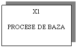 Text Box: X1

PROCESE DE BAZA
