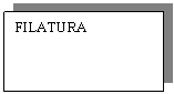 Text Box: FILATURA 