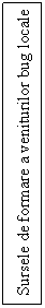 Text Box: Sursele de formare a veniturilor bug locale INSTITUTIILOR PUBLICE

