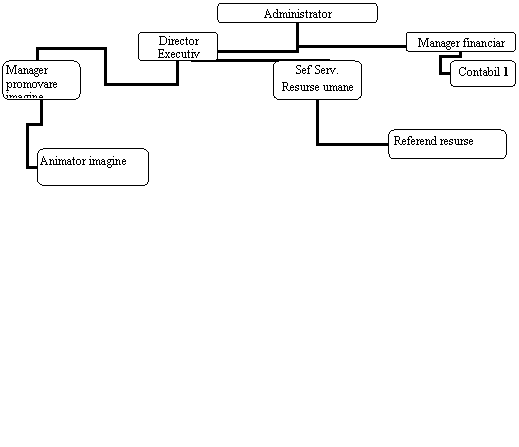 Organization Chart