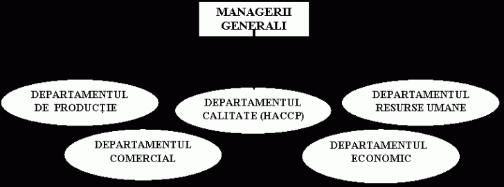 Oval: DEPARTAMENTUL DE PRODUCTIE