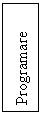 Text Box: Programare