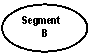 Oval: Segment
B

