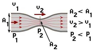 bernoulli