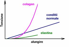 tensiune-alungire