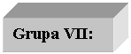 Text Box: Grupa VII: