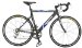 Schwinn Katana Road Bike