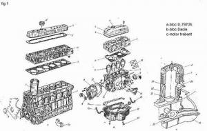 Constructia Functionarea Si Evolutia Mecanismul Motor