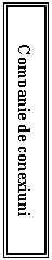 Text Box: Companie de conexiuni